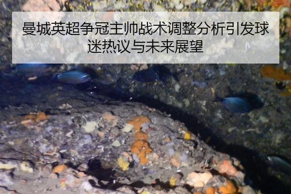man-cheng-ying-chao-zheng-guan-zhu-shuai-zhan-shu-tiao-zheng-fen-xi-yin-fa-qiu-mi-re-yi-yu-wei-lai-zhan-wang-2-611.jpg